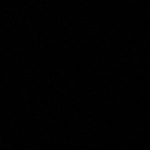 Meet your Posher, Shelby